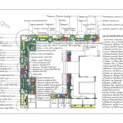 planting-plan-1