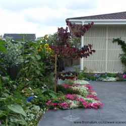 courtyard-5-2016